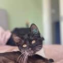 Photo of Mabel