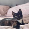Photo of Mabel
