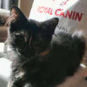Photo of Gerty