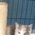 Photo of Princess