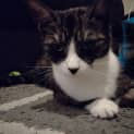 Photo of Mama