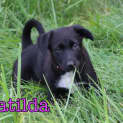 Photo of Matilda