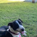 Photo of Darla