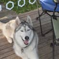 Photo of Wrath