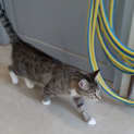 Photo of Mimi