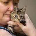Photo of Monkey ~ 8 Week Old Kitten (On Trial 14/5/21)