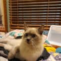 Photo of Chloe
