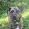 Photo of Coco