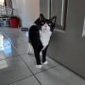 Photo of Ace