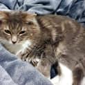 Photo of Echo Sua006065