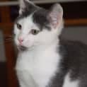 Photo of Gus