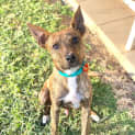 Photo of Max