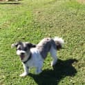 Photo of Monty