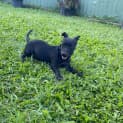 Photo of Hattie