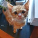 Photo of Ralph