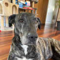 Photo of Murphy