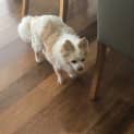 Photo of Lucy
