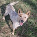 Photo of Matilda