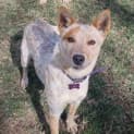 Photo of Matilda