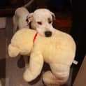 Photo of Quade