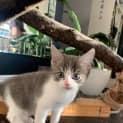 Photo of Arlo