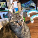 Photo of Sarita