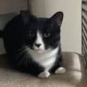 Photo of Mr Jeeves