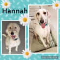 Photo of Hannah