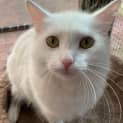 Photo of Dutchess