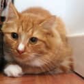 Photo of Jack