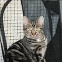 Photo of Charlie