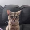Photo of Angel