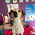 Photo of Mini