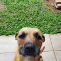 Photo of Roxy