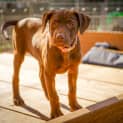 Photo of Inga