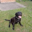 Photo of Jake