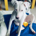 Photo of Ted