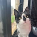 Photo of Willow