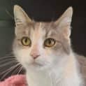 Photo of Kiki
