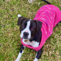 Photo of Molly