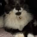 Photo of Sierra
