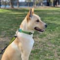 Photo of Baxter