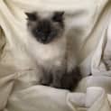 Photo of Lucia
