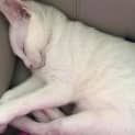 Photo of Jasper