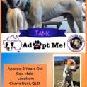 Photo of Tank