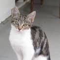 Photo of Aurora