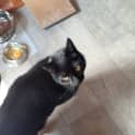 Photo of Tully