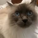 Photo of Max