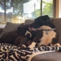 Photo of Thelma & Louise