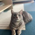 Photo of Asher